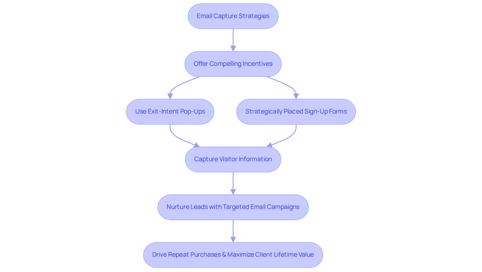 Each box represents a step in the email capture process. Follow the arrows to see how each action contributes to retaining clients and enhancing profitability. Each box represents a step in the email capture process. Follow the arrows to see how each action contributes to retaining clients and enhancing profitability.