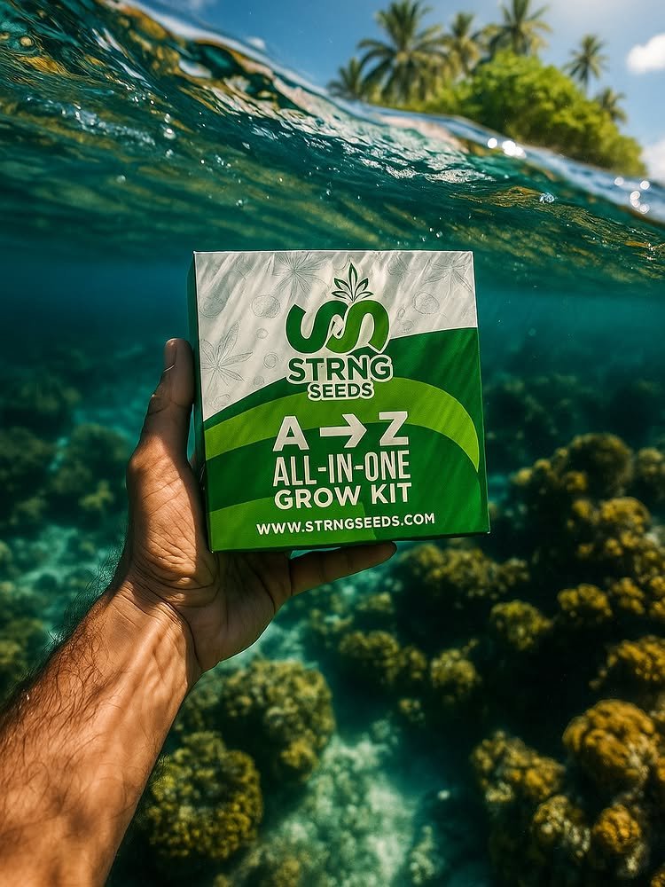 STRNG Seeds products