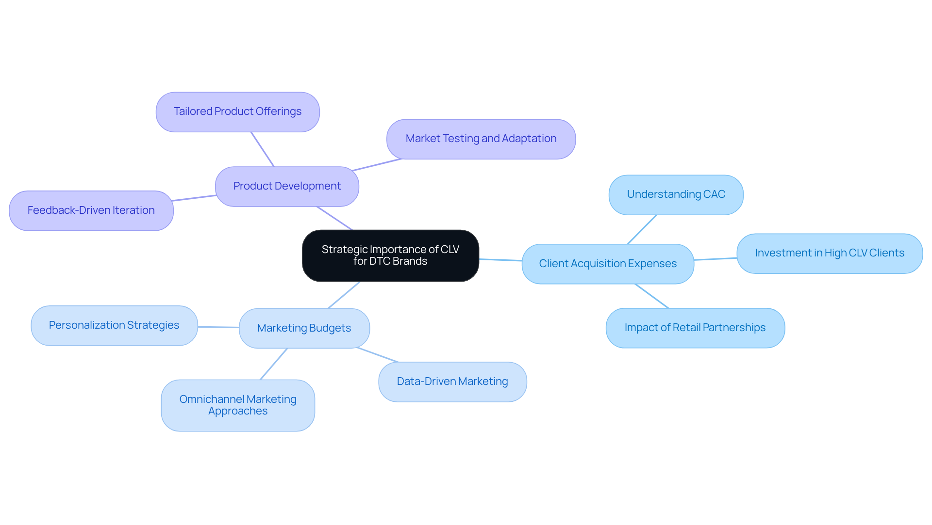 This mindmap illustrates how CLV is crucial for DTC brands by breaking down its impact on various strategic decisions. Each branch represents a key area where CLV plays a role, helping visualize the connections between customer value and business strategy. This mindmap illustrates how CLV is crucial for DTC brands by breaking down its impact on various strategic decisions. Each branch represents a key area where CLV plays a role, helping visualize the connections between customer value and business strategy.