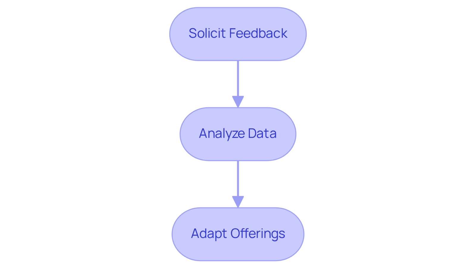 Follow the flow from soliciting feedback to adapting your offerings — each step is crucial for enhancing your strategy and ensuring customer satisfaction.
